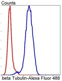 betaTubulin Rabbit anti-Human, Clone: SR25-04, Novus Biologicals 100&mu;L:Antibodies,