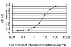 cGK1/PRKG1 Antibody (5E5), Novus Biologicals 0.1 mg | Buy Online | Novus Biologicals | Fisher Scientific