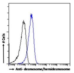 desmosome/hemidesmosome Human anti-Human, Clone: F12, Novus Biologicals:Anticorps:Anticorps