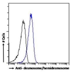 desmosome/hemidesmosome Antibody (F12) - Chimeric - Azide and BSA Free,