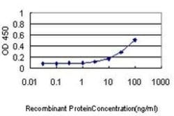eIF2 alpha/EIF2S1 Antibody (3H12-C11), Novus Biologicals 0.1 mg | Buy Online | Novus Biologicals | Fisher Scientific