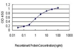eIF5A2 Antibody (1E7), Novus Biologicals 0.1 mg | Buy Online | Novus Biologicals | Fisher Scientific