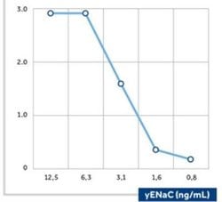epithelial Sodium Channel gamma Mouse anti-Human, Clone: 5c2, Novus Biologicals