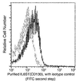 gp130/CD130 Rabbit anti-Mouse, Clone: 22, Novus Biologicals:Antibodies:Primary