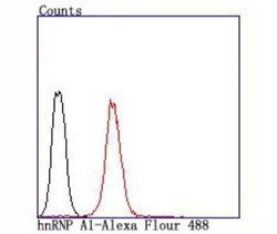 hnRNPA1 Rabbit anti-Human, Clone: JA39-21, Novus Biologicals 100&mu;L:Antibodies,