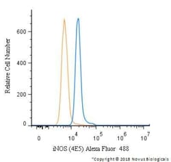 iNOS Antibody (4E5), Alexa Fluor 488, Novus Biologicals 0.1 mL | Buy Online | Novus Biologicals | Fisher Scientific