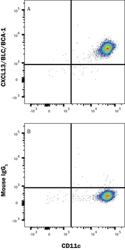 Novus Biologicals Human CXCL13/BLC/BCA-1 APC-conjugated Antibody, Novus