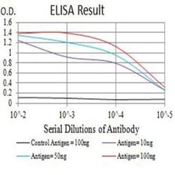 mGluR8 Antibody (4C1C1) - BSA Free, Novus Biologicals:Antibodies:Primary
