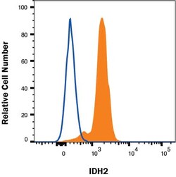 Human Isocitrate Dehydrogenase 2/IDH2 Antibody, R D Systems:Antibodies:Primary