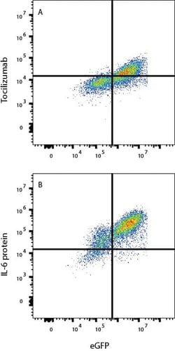 Human IL-6R alpha (Research Grade Tocilizumab Biosimilar) Antibody, R D