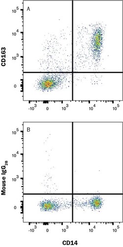 Human CD163 Antibody, Novus Biologicals:Anticuerpos:Anticuerpos primarios