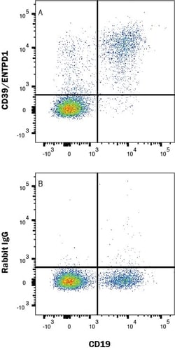 Human CD39/ENTPD1 Antibody, Novus Biologicals 100 &mu;g; Unconjugated:Antibodies,