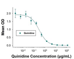 Quinidine Antibody (1070653), Novus Biologicals&trade;