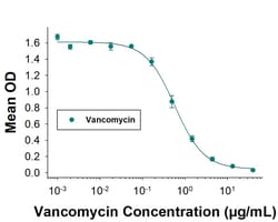 Vancomycin Antibody (1086101), Novus Biologicals 0.025 mg | Buy Online | Novus Biologicals | Fisher Scientific