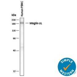 Human Integrin alpha L/CD11a Antibody, R D Systems:Antibodies:Primary Antibodies