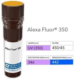 HSPA8/HSC71/Hsc70 Antibody (1B5), Alexa Fluor 350, Novus Biologicals 0.2 mL | Buy Online | Novus Biologicals | Fisher Scientific