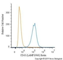CD63 Antibody (LAMP3/968), Novus Biologicals:Antibodies:Primary Antibodies
