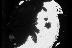 Cytokeratin 10 Antibody (SPM623), Novus Biologicals:Antibodies:Primary