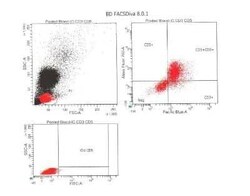 CD3 epsilon Antibody (PC3/188A), Novus Biologicals 20&mu;g; Unlabeled:Antibodies,