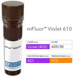 IMP2/IGF2BP2 Antibody (OTI3F9), mFluor Violet 610 SE, Novus Biologicals 0.1 mL | Buy Online | Novus Biologicals | Fisher Scientific