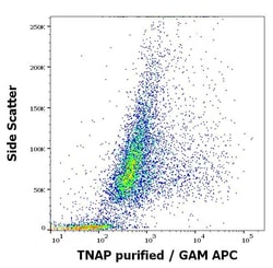 Alkaline Phosphatase, Tissue Non-Specific Antibody (W8B2B10) - BSA Free,