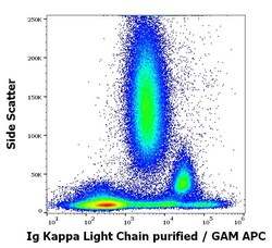 Ig Kappa Light Chain Antibody (TB28-2) - BSA Free, Novus Biologicals 0.1 mg | Buy Online | Novus Biologicals | Fisher Scientific