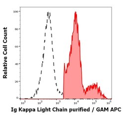 Ig Kappa Light Chain Antibody (TB28-2) - BSA Free, Novus Biologicals 0.1 mg | Buy Online | Novus Biologicals | Fisher Scientific