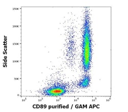 FCAR/CD89 Antibody (A59) - BSA Free, Novus Biologicals 0.1 mg | Buy Online | Novus Biologicals | Fisher Scientific
