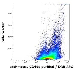 Integrin alpha 4/CD49d Antibody (R1-2) - BSA Free, Novus Biologicals 0.1