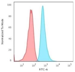 Cytokeratin 6a Antibody (KRT6A/2368) - Azide and BSA Free, Novus Biologicals 100 &mu;g | Buy Online | Novus Biologicals | Fisher Scientific