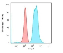 Fascin Antibody (FSCN1/416) - Azide and BSA Free, Novus Biologicals 0.1 mg | Buy Online | Novus Biologicals | Fisher Scientific