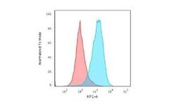 CD45RA Antibody (111-1C5) - Azide and BSA Free, Novus Biologicals 0.1 mg | Buy Online | Novus Biologicals | Fisher Scientific