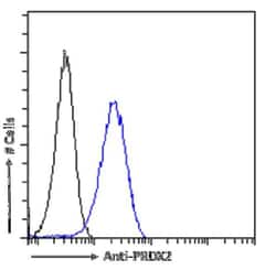 Peroxiredoxin 2 Antibody (SAIC-34B-124) - Azide and BSA Free, Novus Biologicals:Antibodies:Primary