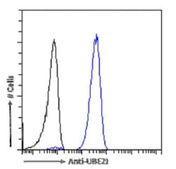 UBE2I/Ubc9 Antibody (SAIC-36A-9) - Azide and BSA Free, Novus Biologicals:Antibodies:Primary