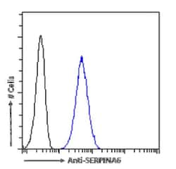 Serpin A6/Cortisol Binding Globulin Antibody (SAIC-42B-10) - Azide and