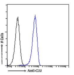 Clusterin/APOJ Antibody (SAIC-43B-8) - Azide and BSA Free, Novus Biologicals