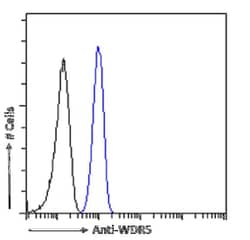 WDR5 Antibody (RAB-C223) - Chimeric - Azide and BSA Free, Novus Biologicals