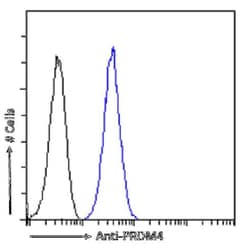 PRDM4 Antibody (RAB-C367) - Chimeric - Azide and BSA Free, Novus Biologicals:Antibodies:Primary