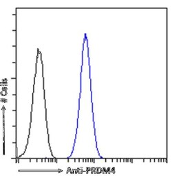 PRDM9 Antibody (RAB-C370) - Chimeric - Azide and BSA Free, Novus Biologicals