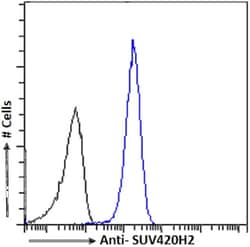 SUV420H2 Antibody (RAB-C409) - Chimeric - Azide and BSA Free, Novus Biologicals:Antibodies:Primary