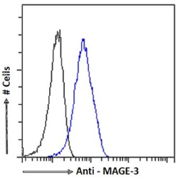 MAGEA3 Antibody (21B4) - Chimeric - Azide and BSA Free, Novus Biologicals