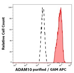 ADAM10 Antibody (11G2) - BSA Free, Novus Biologicals 0.1 mg; Unconjugated:Antibodies,