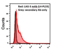 LAG-3 Antibody (L4-PL33) - BSA Free, Novus Biologicals:Antibodies:Primary