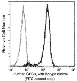 Glypican 3 Antibody (024), Novus Biologicals:Anticuerpos:Anticuerpos primarios