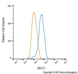 MUC2 Antibody, Novus Biologicals 0.025 mg, Unconjugated:Antibodies, Polyclonal