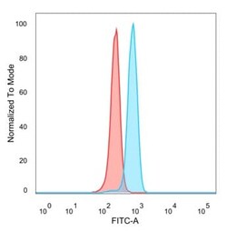 SOX22 Antibody (PCRP-SOX12-1E4), Novus Biologicals 100 &mu;g, Unconjugated:Antibodies,