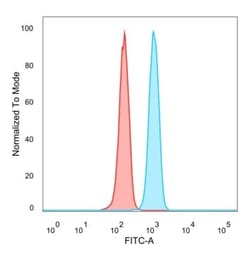 SNAPC4 Antibody (PCRP-SNAPC4-3A7), Novus Biologicals:Antibodies:Primary