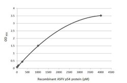African Swine Fever Virus p54 Antibody (HL1287) - Azide and BSA Free, Novus