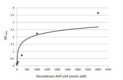 African Swine Fever Virus p54 Antibody (HL1287) - Azide and BSA Free, Novus