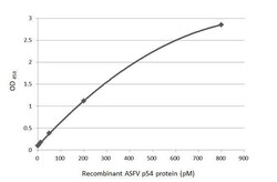 African Swine Fever Virus p54 Antibody (HL1287) - Azide and BSA Free, Novus